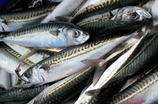 7 продуктів з найбільшим вмістом магнію для міцних кісток