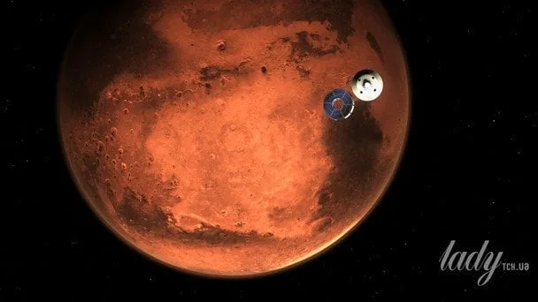 На Марсі знайшли подібні на комах істоти: аналіз фото NASA