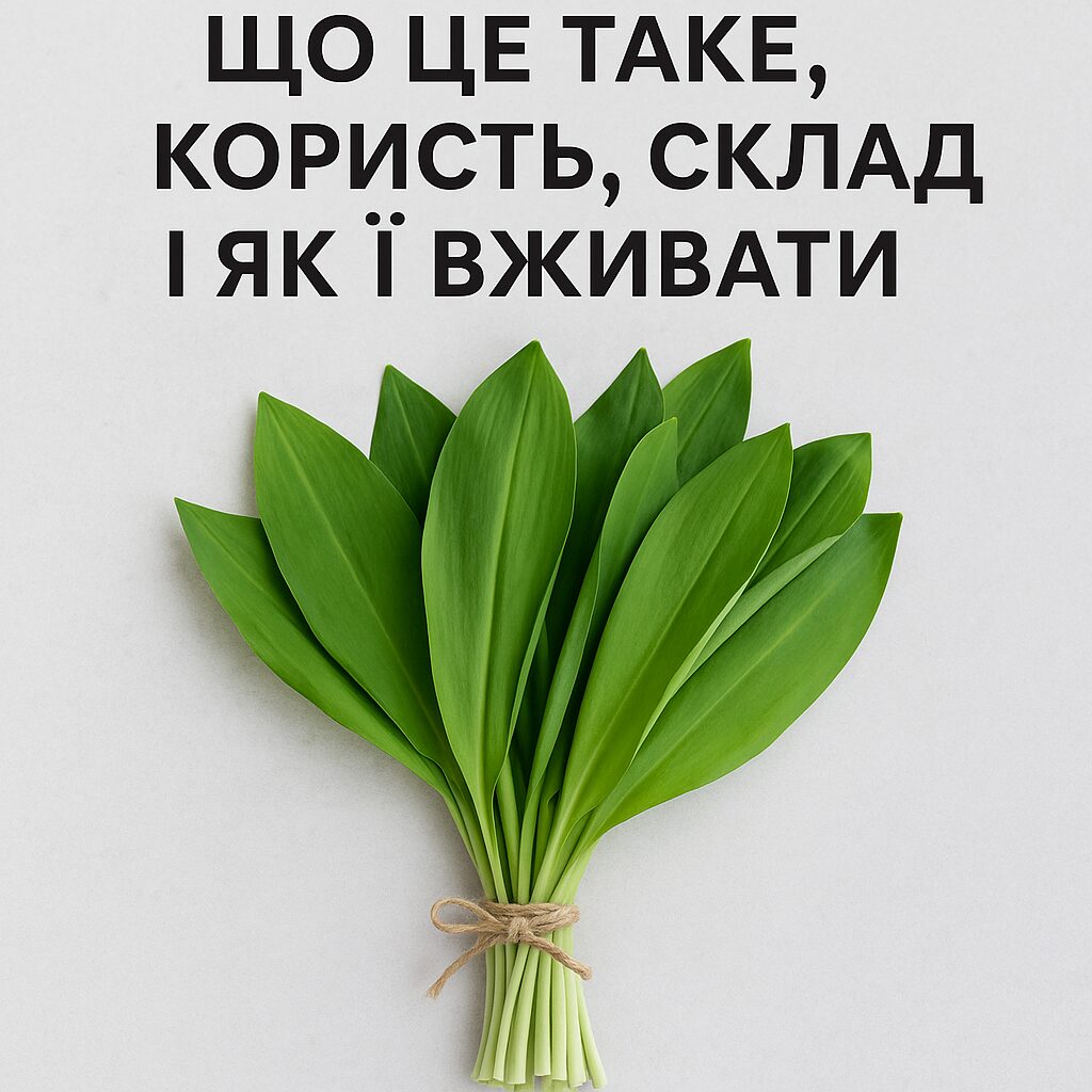 Черемша: що це таке, користь, склад і як її вживати - image 1