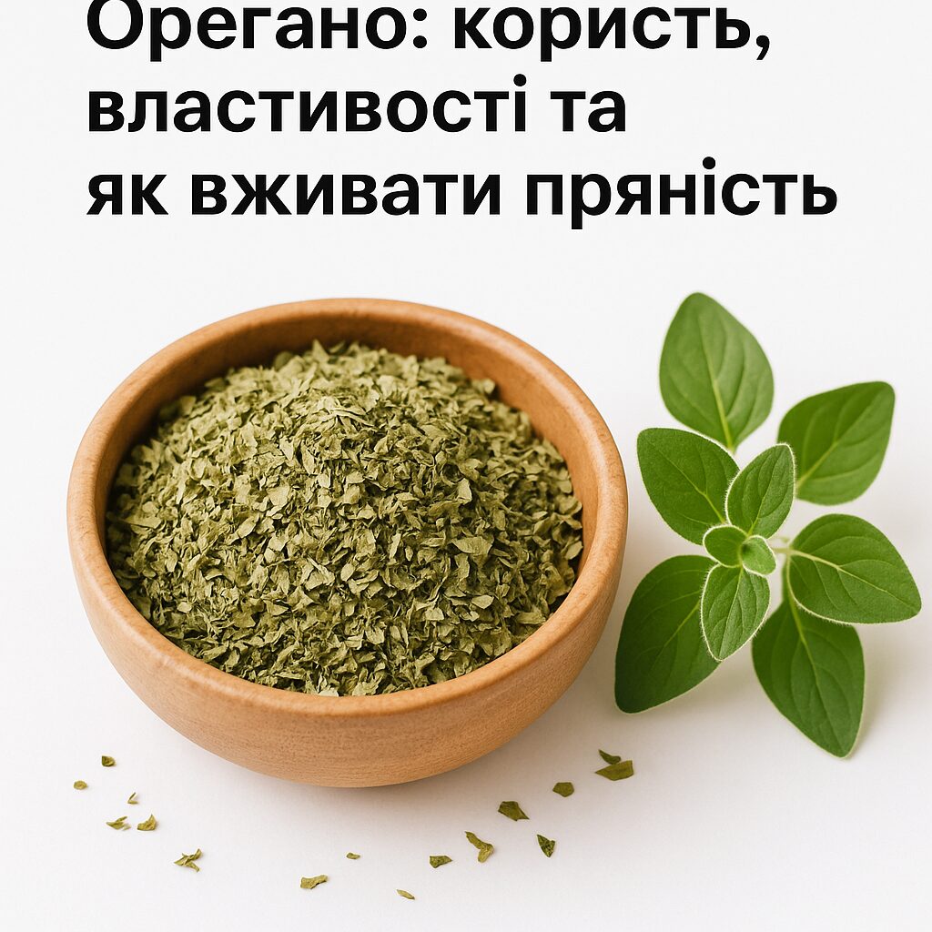 Орегано: користь, властивості та як вживати пряність