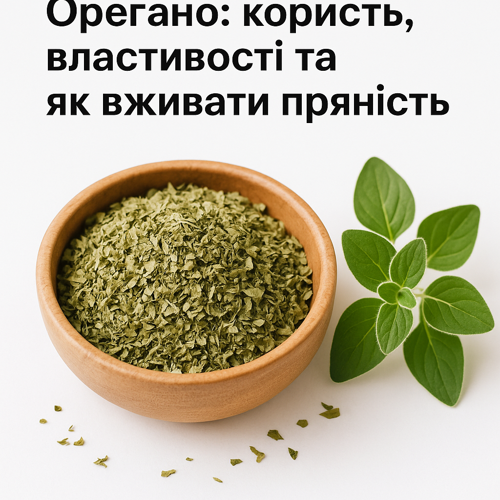 Орегано: користь, властивості та як вживати пряність - image 1