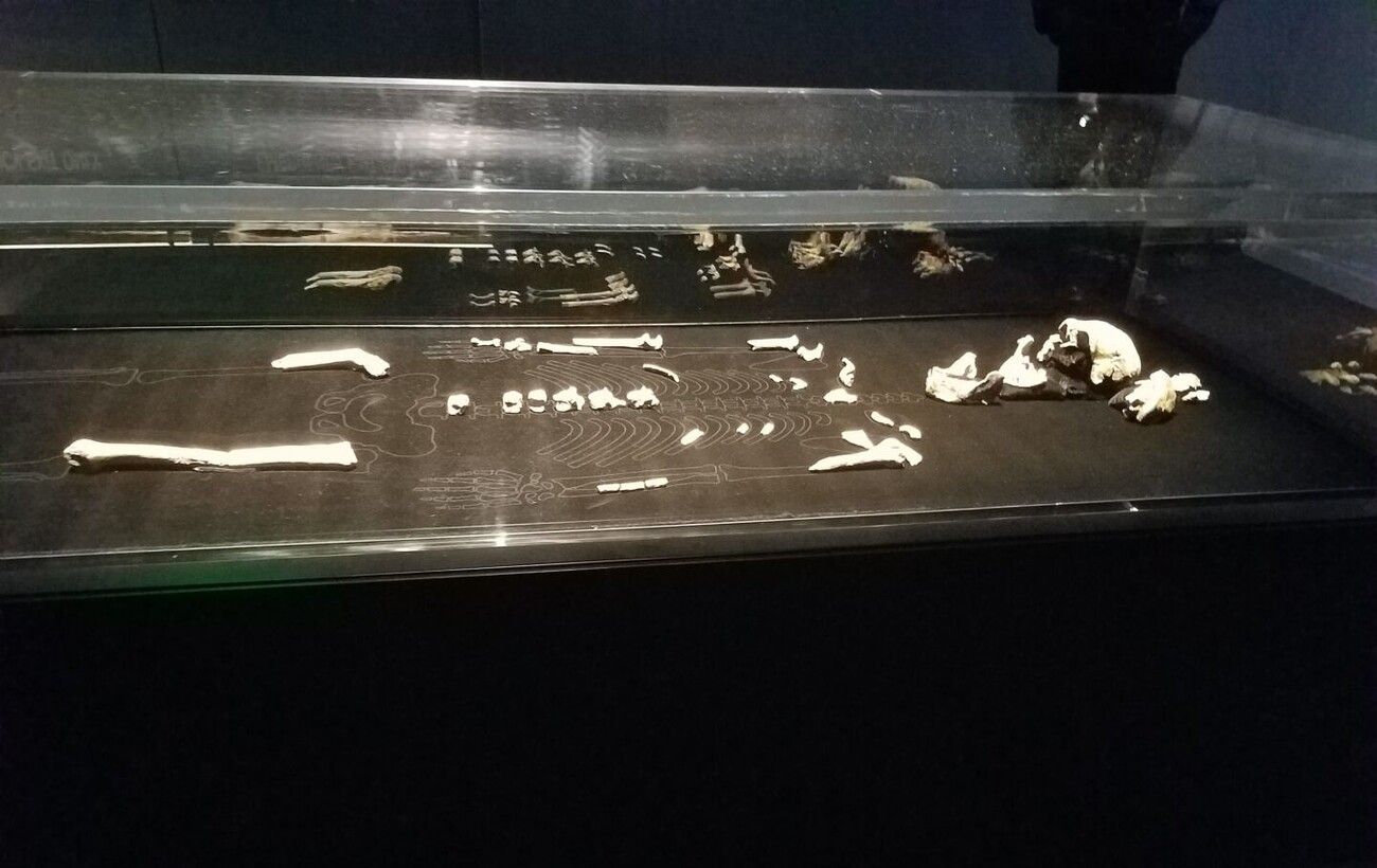 Таємниця Homo naledi: як відкриття змінює наше розуміння еволюції людини